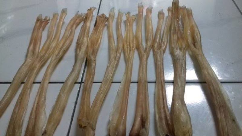 出售干牛筋，干度好，油脂干净，一手货源充足！价格不高