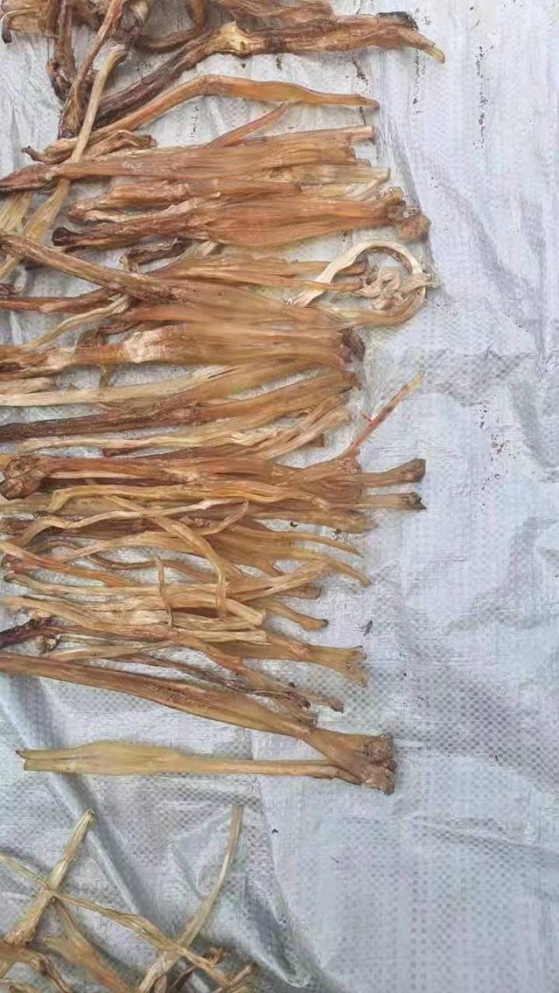 出售干牛筋，干度好，油脂干净，一手货源充足！价格不高