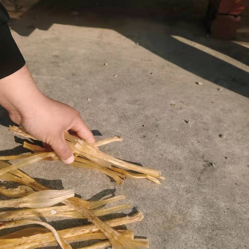 出售干牛筋，干度好，油脂干净，一手货源充足！价格不高