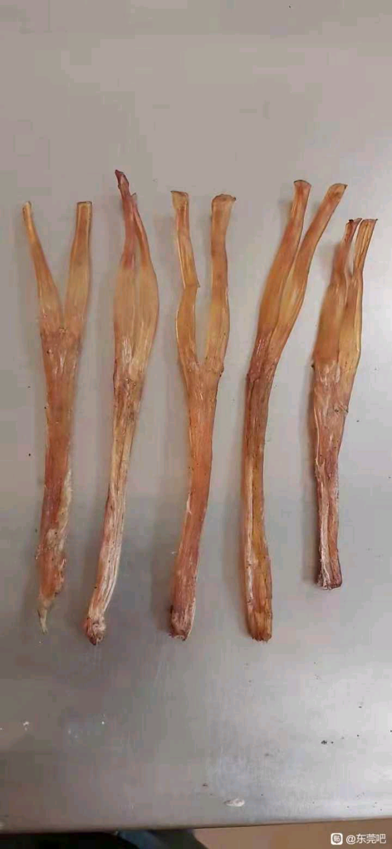 出售干牛筋，干度好，油脂干净，一手货源充足！价格不高