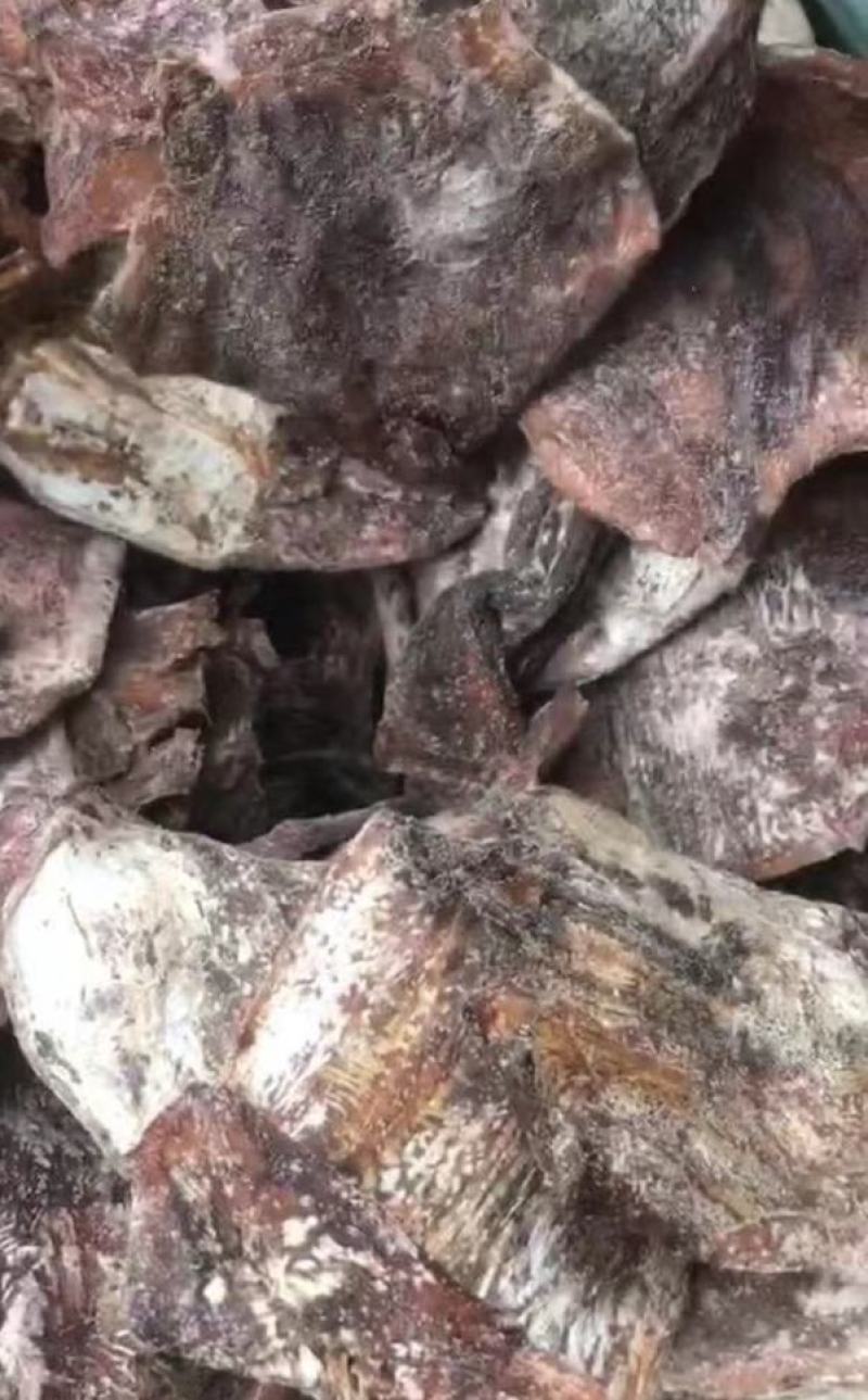 越南水发鱿鱼干，大个头，和小个头。一手货源