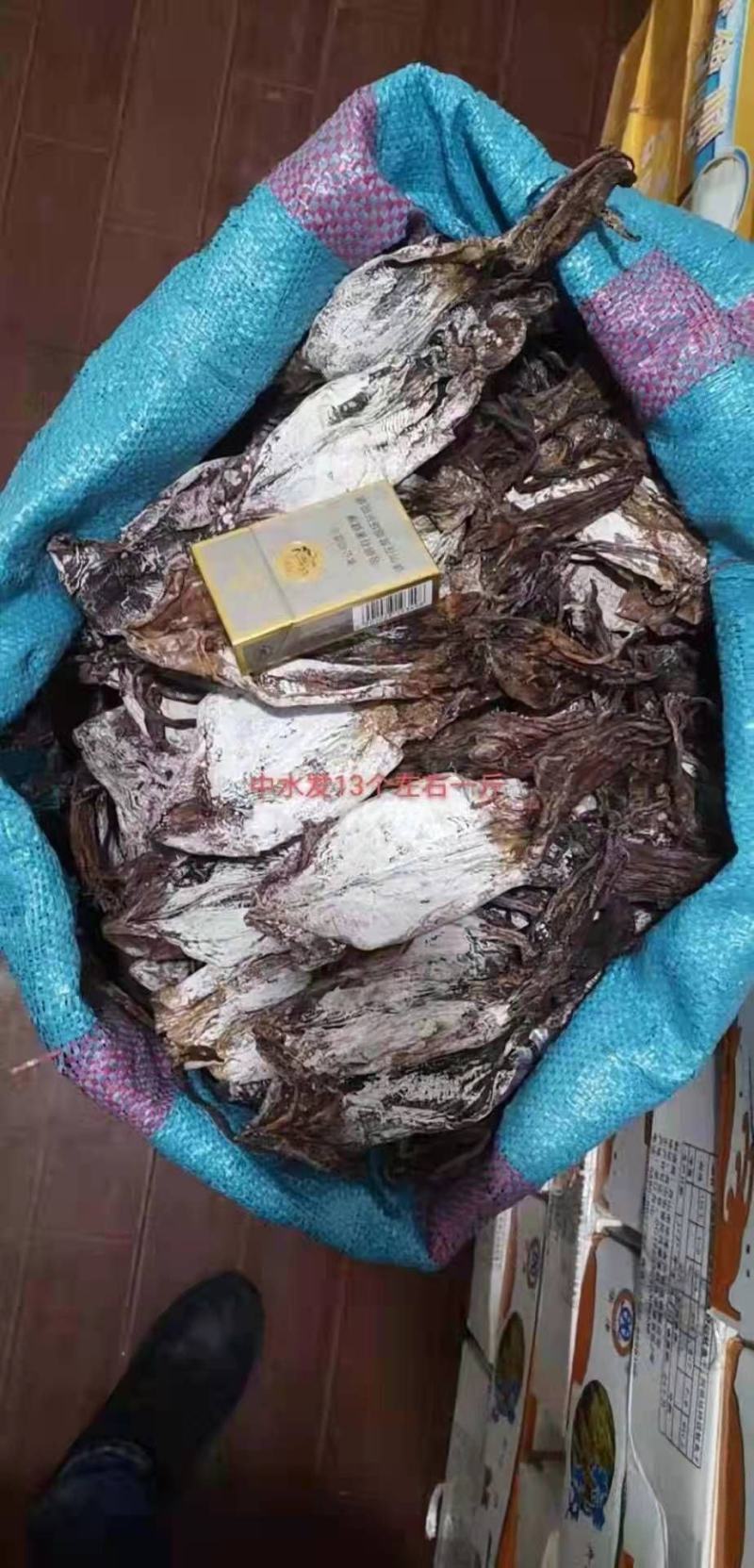 越南水发鱿鱼干，大个头，和小个头。一手货源