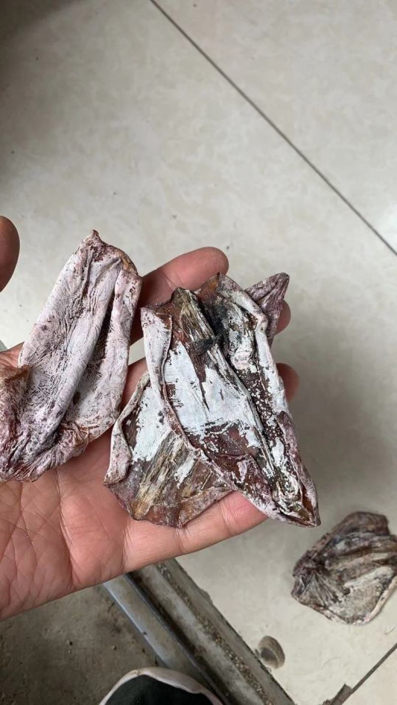 越南水发鱿鱼干，大个头，和小个头。一手货源