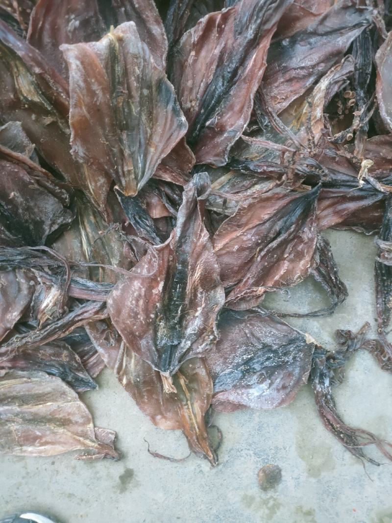 越南水发鱿鱼干，大个头，和小个头。一手货源