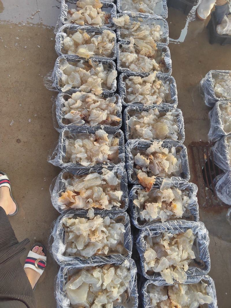 批发零售酒店商超团购福利海蜇头海蜇丝老醋海蜇头非即食