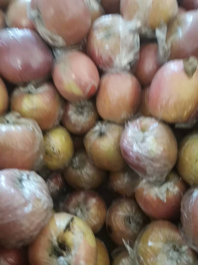 冠县冰糖心红富士