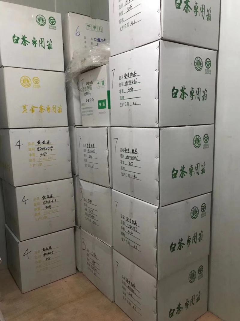 安吉白茶安吉高山白茶农场直销2026明前安吉高山白