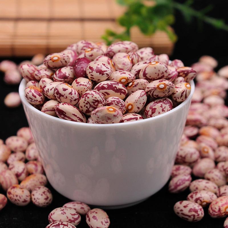 新货云南雀蛋豆5斤奶花芸豆花生豆花豆子孔雀豆五谷杂粮