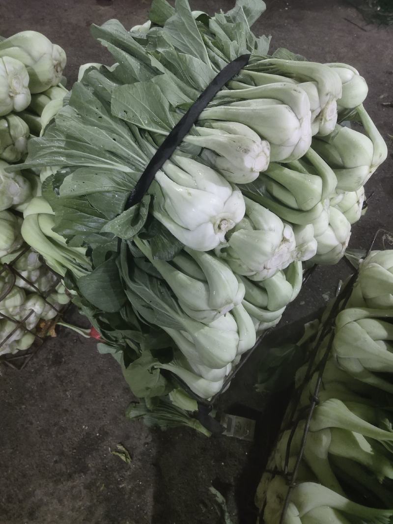 条根白湖南衡阳的特产