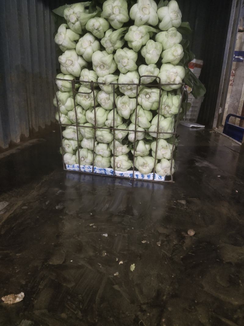 条根白湖南衡阳的特产