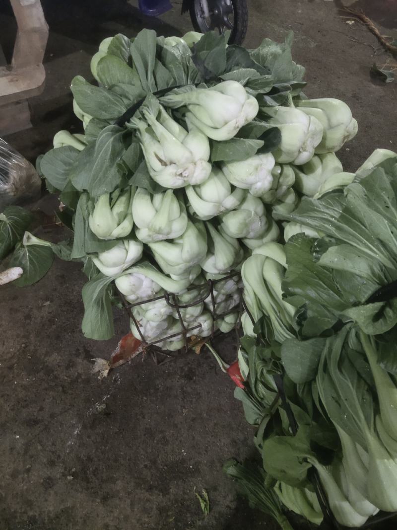 条根白湖南衡阳的特产