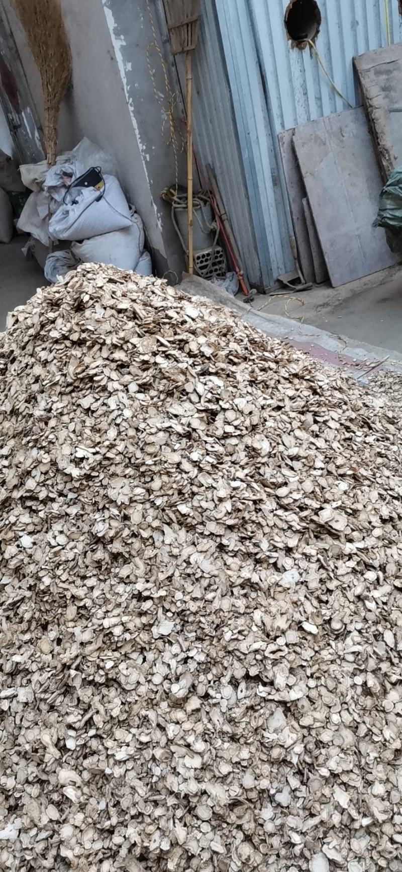 家种白花信前胡正品保证各种规格欢迎咨询