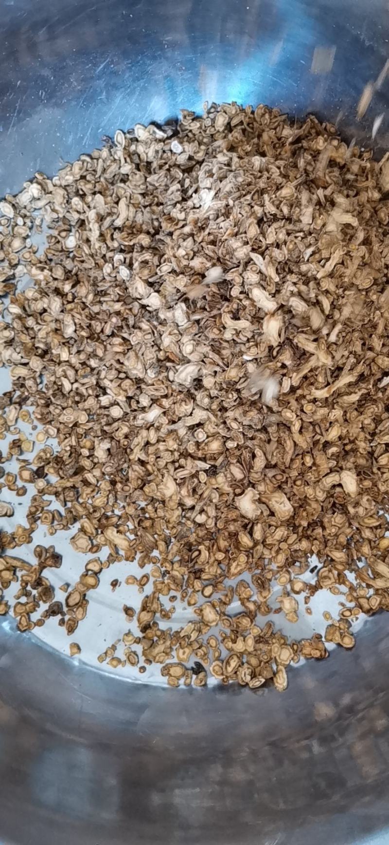家种白花信前胡正品保证各种规格欢迎咨询
