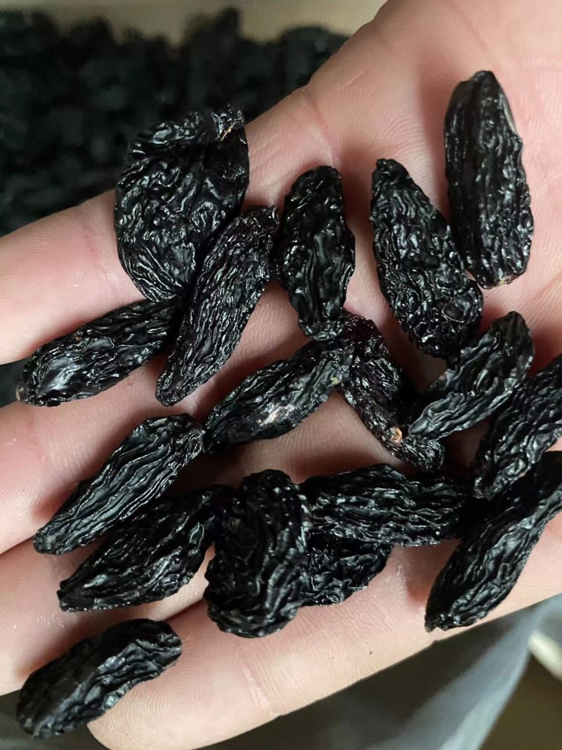 精品黑美人葡萄干品质有保证欢迎老板下单本地货