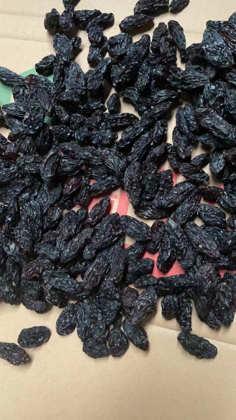 精品黑美人葡萄干品质有保证欢迎老板下单本地货