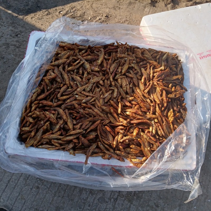 生晒小鱼干3一6公分纯淡干鱼猫粮，量大价优欢迎咨询下单