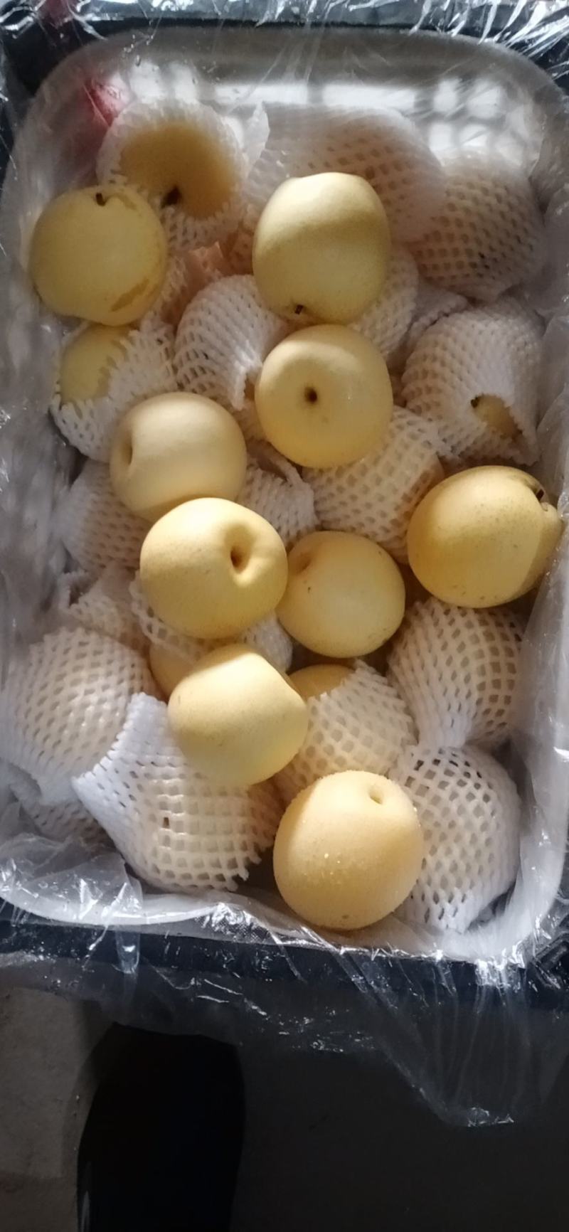 河北皇冠梨！可对接超市，电商平台！市场小贩，保质保量