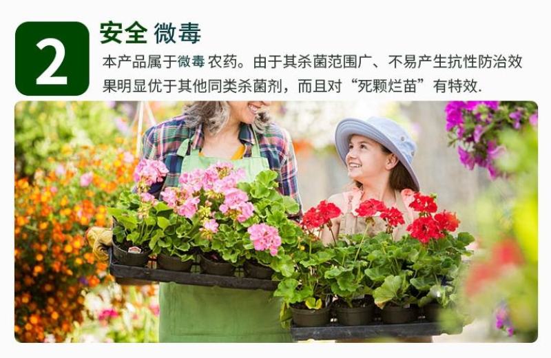 凯闲辛菌胺醋酸盐苹果树腐烂病农药杀菌剂果锈病毒病辛菌胺盐