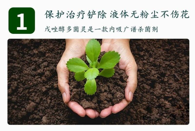 凯闲辛菌胺醋酸盐苹果树腐烂病农药杀菌剂果锈病毒病辛菌胺盐