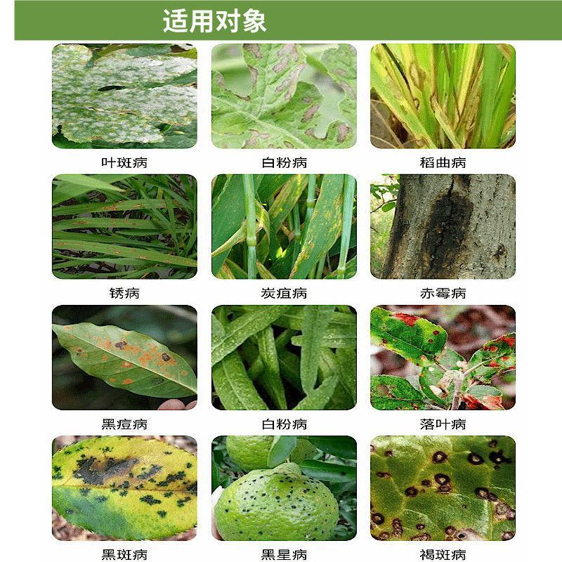 凯闲辛菌胺醋酸盐苹果树腐烂病农药杀菌剂果锈病毒病辛菌胺盐