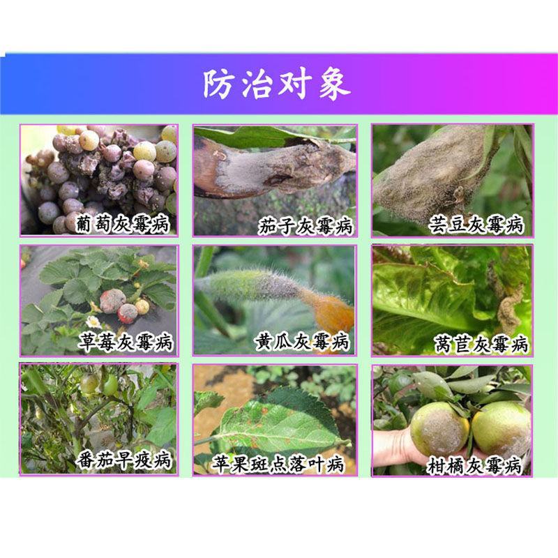 65%腐霉利啶酰菌吡唑醚菌酯葡萄草莓灰霉病灰力通农药