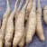 山药豆苗