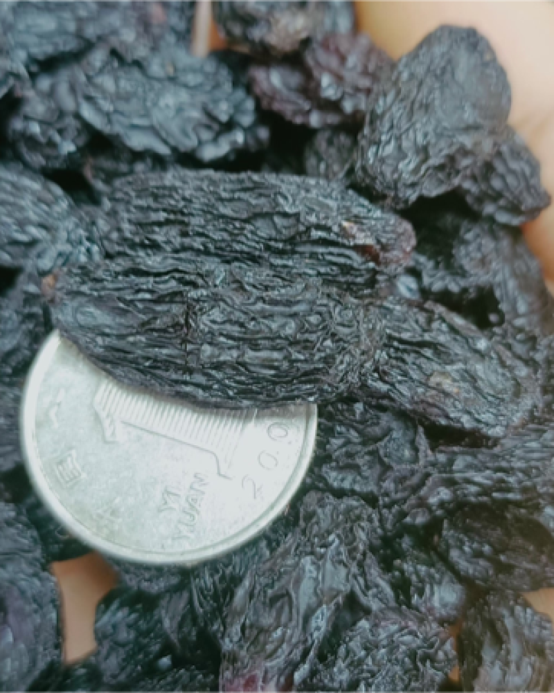 精品黑美人葡萄干品质有保证欢迎老板下单本地货