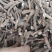塘边藕~三白草根部~新货~切断~1公斤起售~