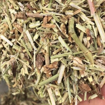 花生秧无杂质全国发货质优价廉对接养殖场大量供应