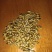 特级大麦茶批发