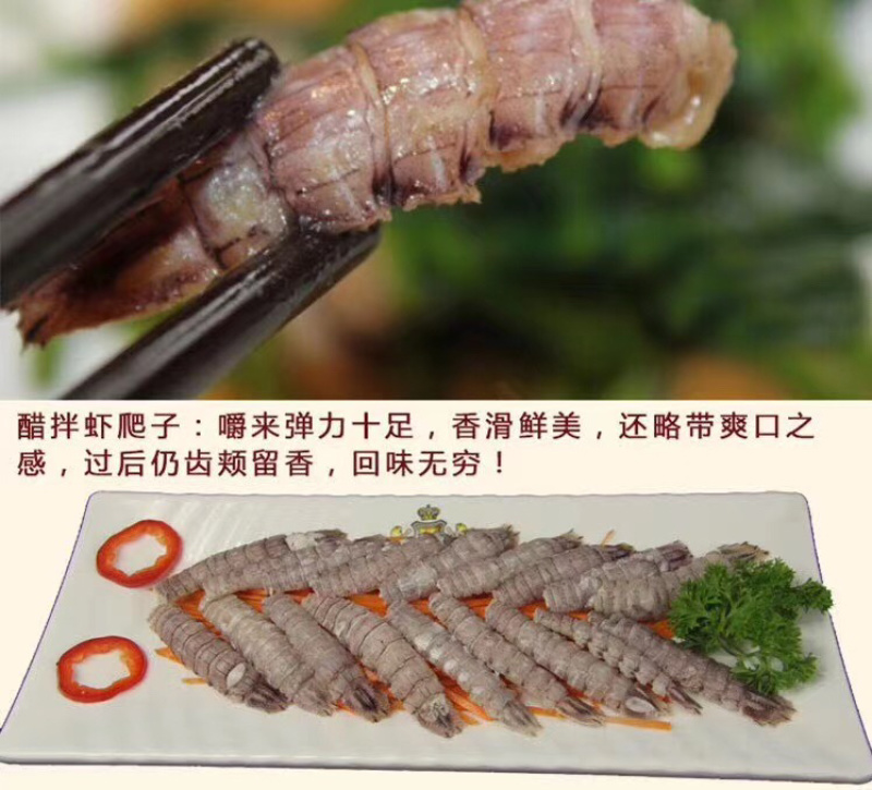 熟冻虾虎肉即食皮皮虾虾姑肉