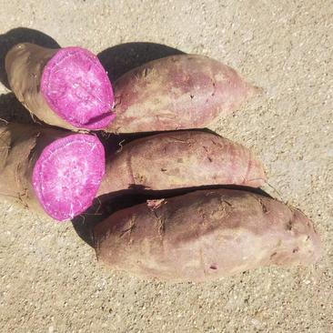 红薯《西瓜红，烟薯，紫薯》品种齐全货源充足，支持全国发货