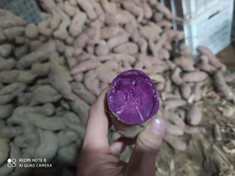 红薯《西瓜红，烟薯，紫薯》品种齐全货源充足，支持全国发货