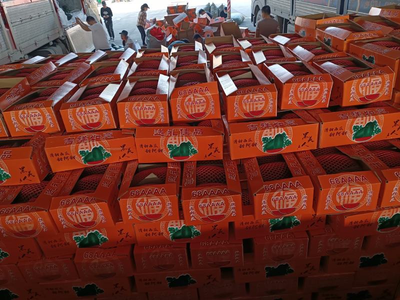 越南进口精品黑美人西瓜