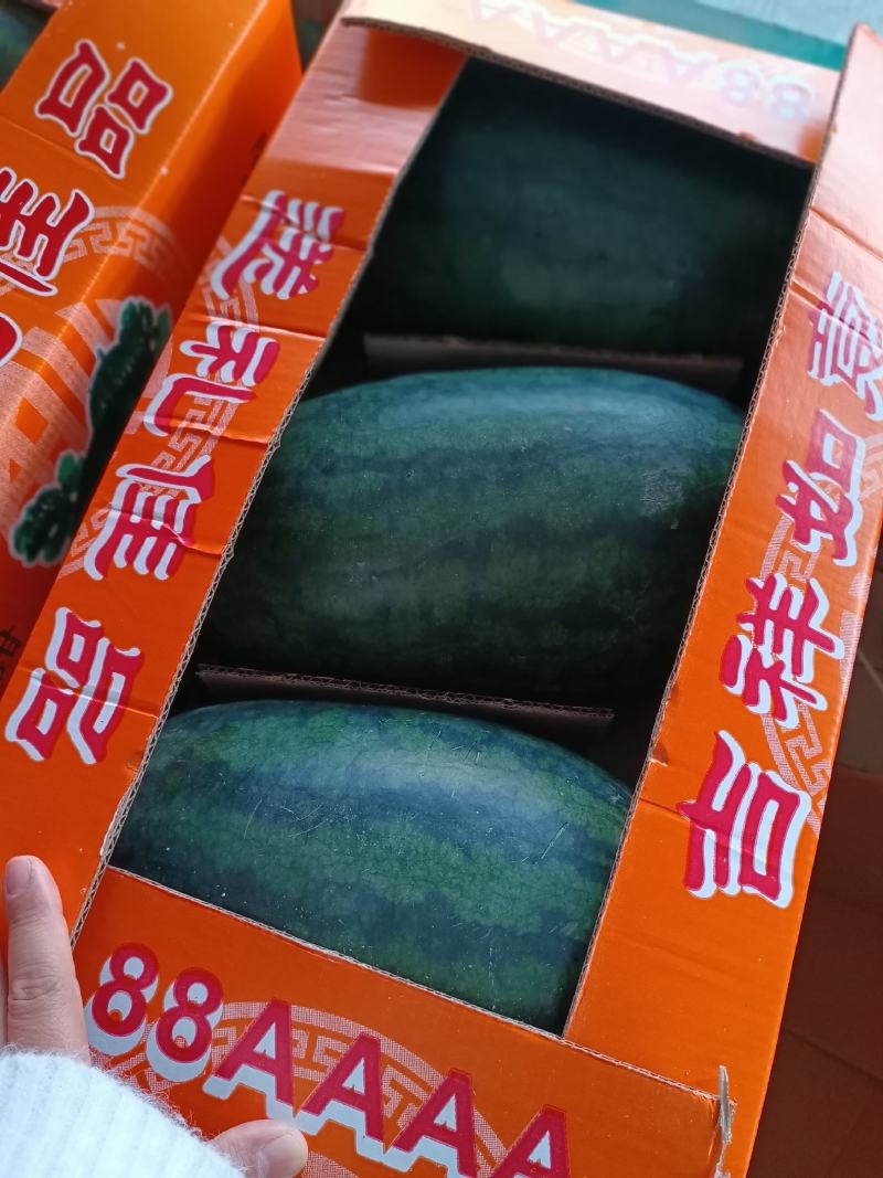 越南进口精品黑美人西瓜
