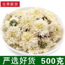 正宗黄山贡菊白菊花干另售特级野生桐乡胎菊黄山