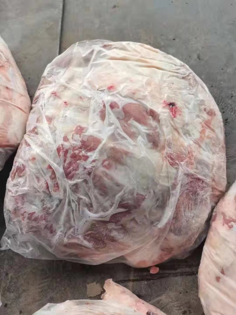大羊排，带皮羊排，实拍图片，一手货源，全国冷链发货