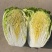 白菜，黄芯白菜，北京三号，大量上市了，净菜上车