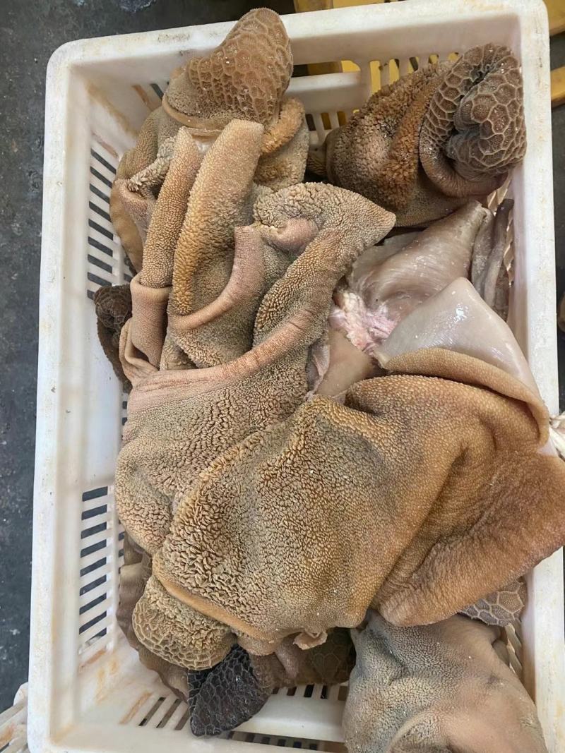 羊杂