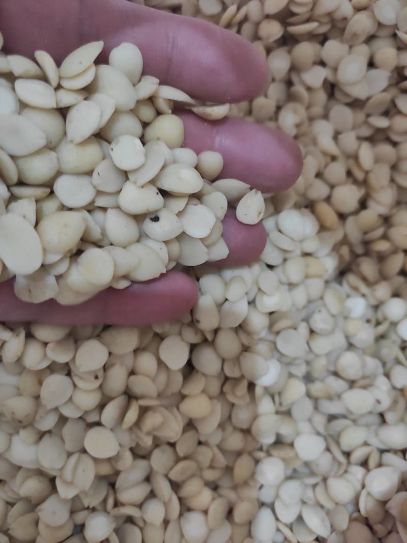 桃仁干货去皮桃仁欢迎选购！量大从优！