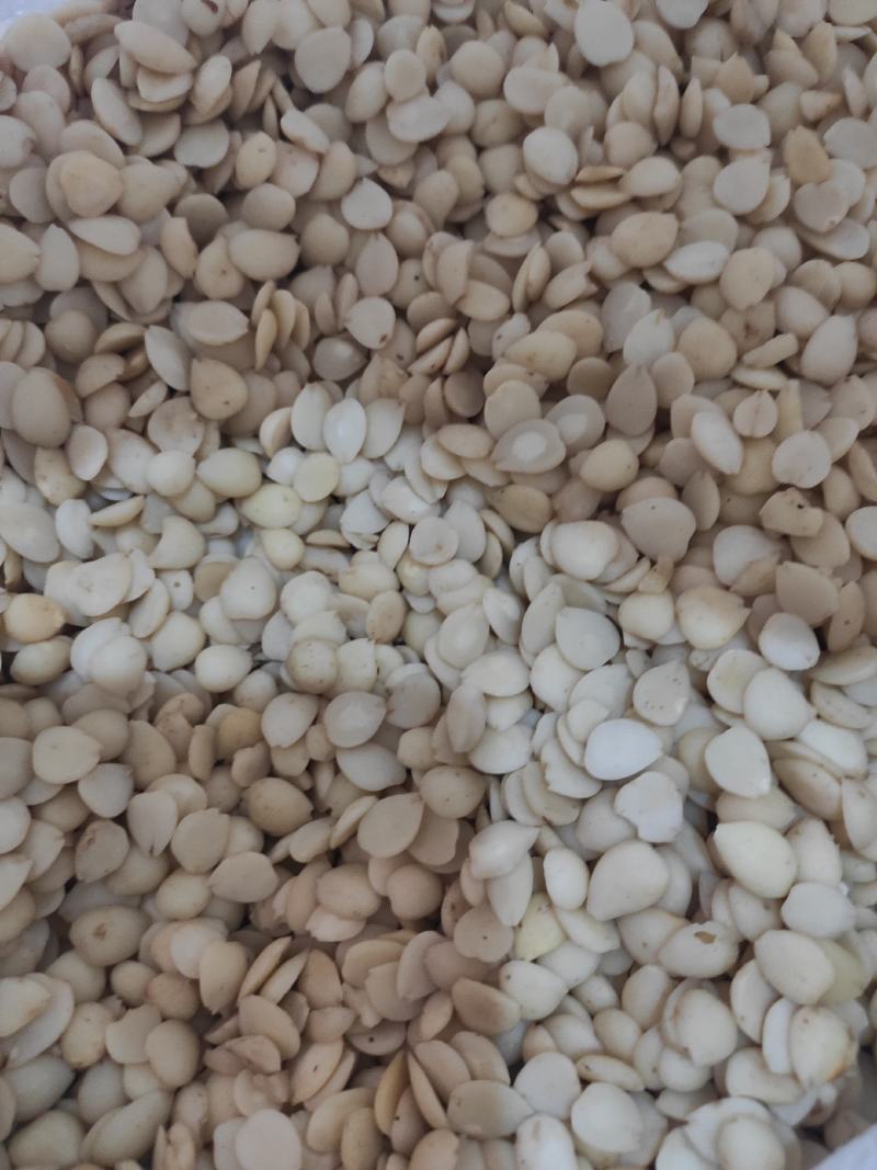 桃仁干货去皮桃仁欢迎选购！量大从优！