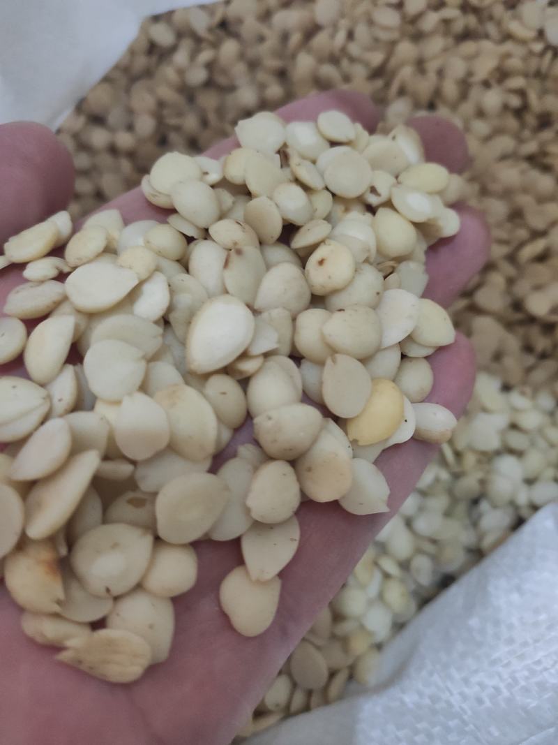 桃仁干货去皮桃仁欢迎选购！量大从优！