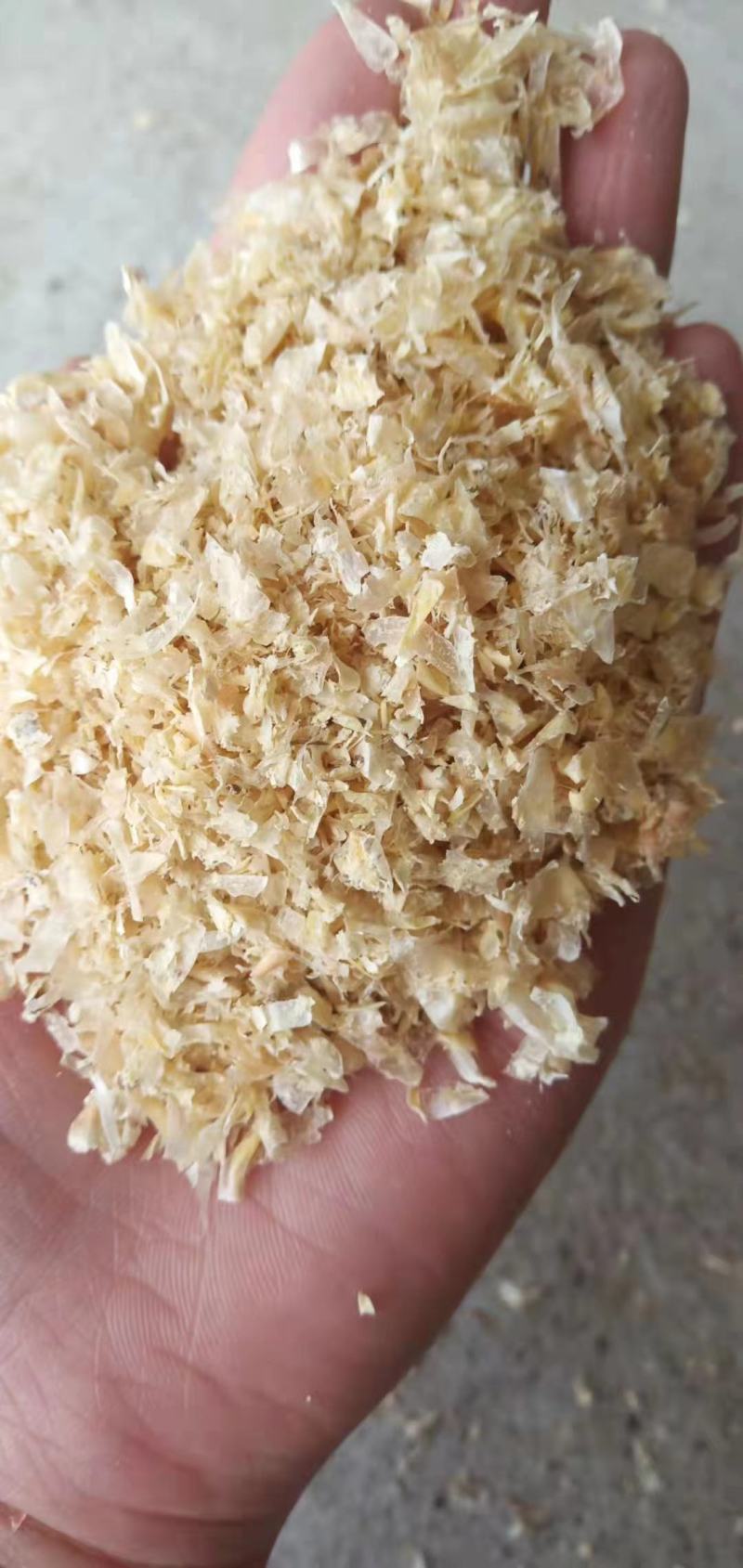 玉米大粗皮厂家供应大片玉米皮猪牛羊饲料