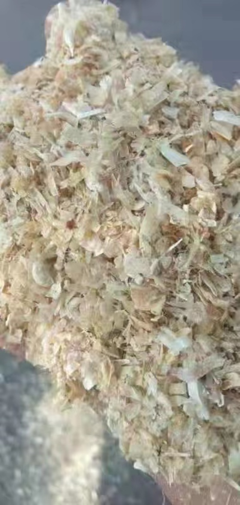 玉米大粗皮厂家供应大片玉米皮猪牛羊饲料