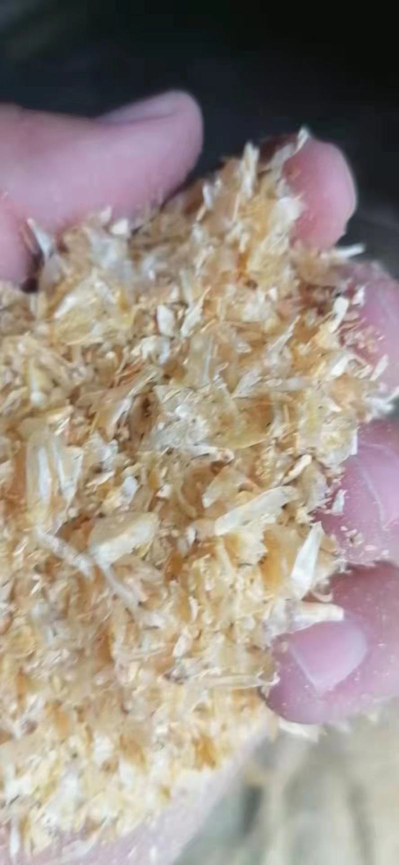 玉米大粗皮厂家供应大片玉米皮猪牛羊饲料
