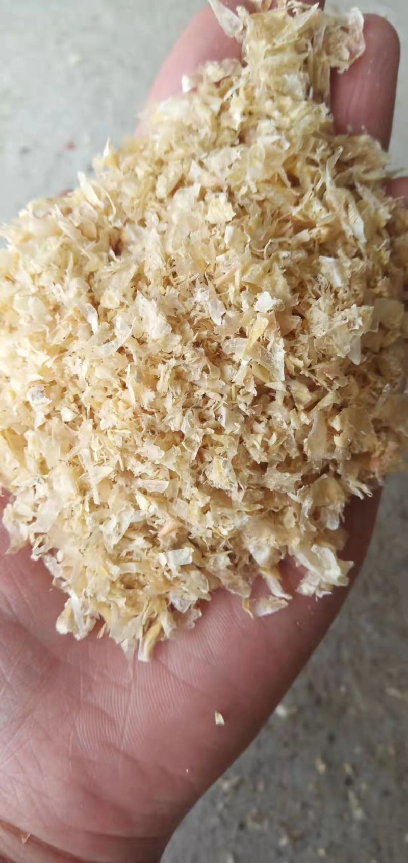 玉米大粗皮厂家供应大片玉米皮猪牛羊饲料