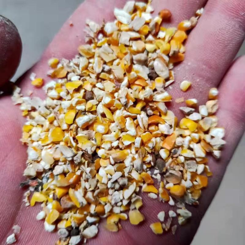 净粮碎王米厂家一手货源适合鸡鸭鹅猪牛羊使用