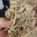 花生秧一手货源饲草类加工长期合作质量
