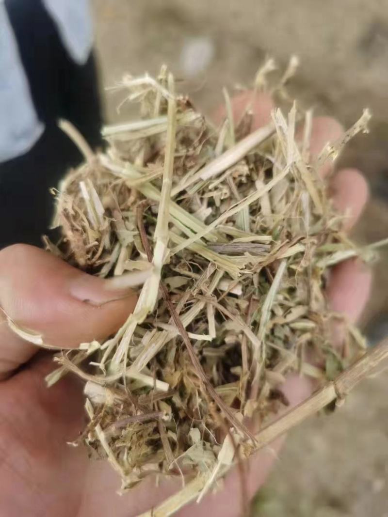 花生秧一手货源饲草类加工长期合作质量