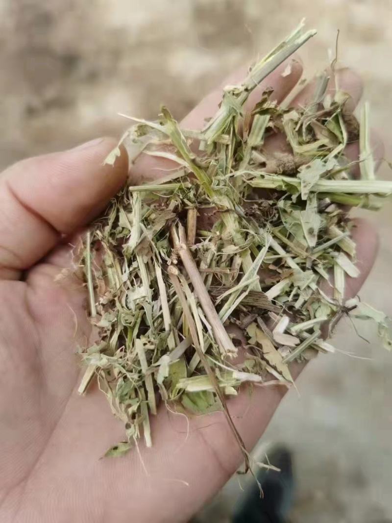 花生秧一手货源饲草类加工长期合作质量